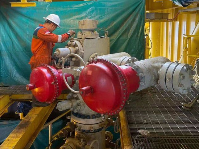 印尼国家石油公司井口项目